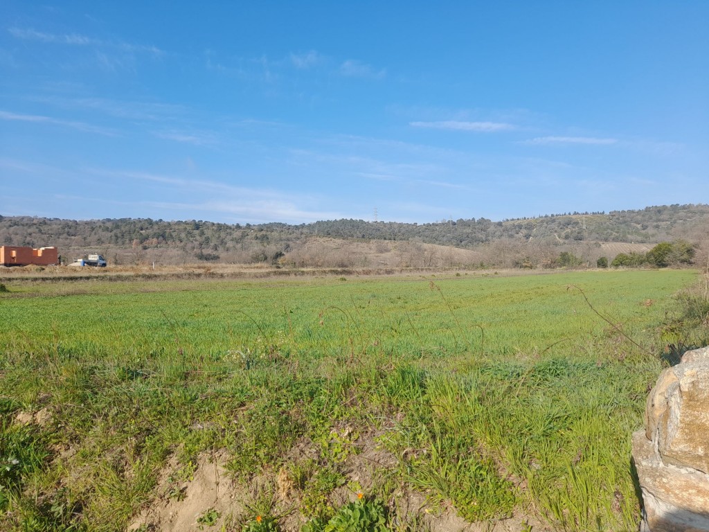 Espira de Conflent - Les vergers du Canigou 2