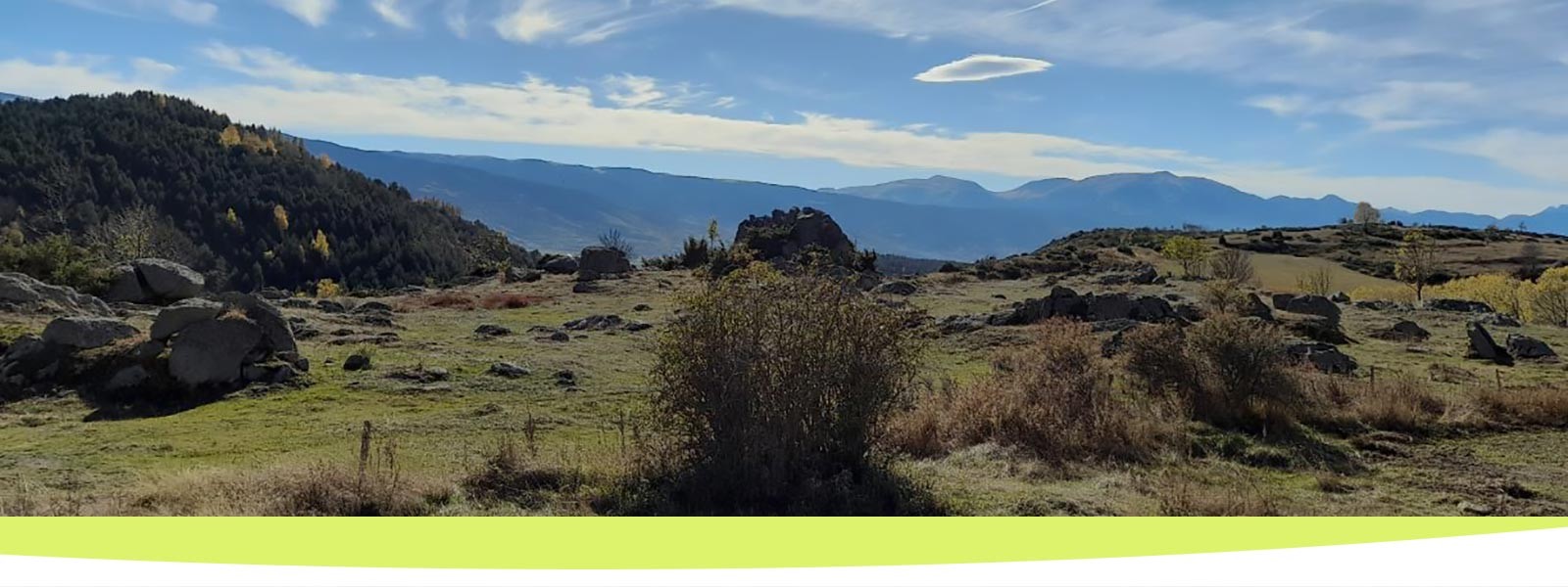 Opérations d'ensemble terrains diffus à bâtir à la vente.