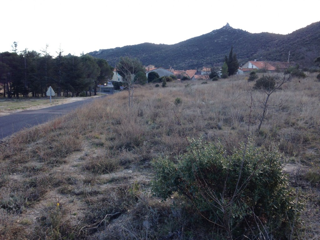 Miniature 2